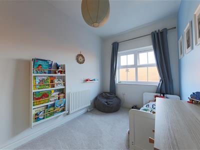 Picture 24